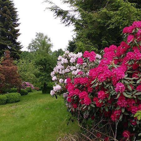 Ferienwohnung Gartenblick Worpswede Esterno foto