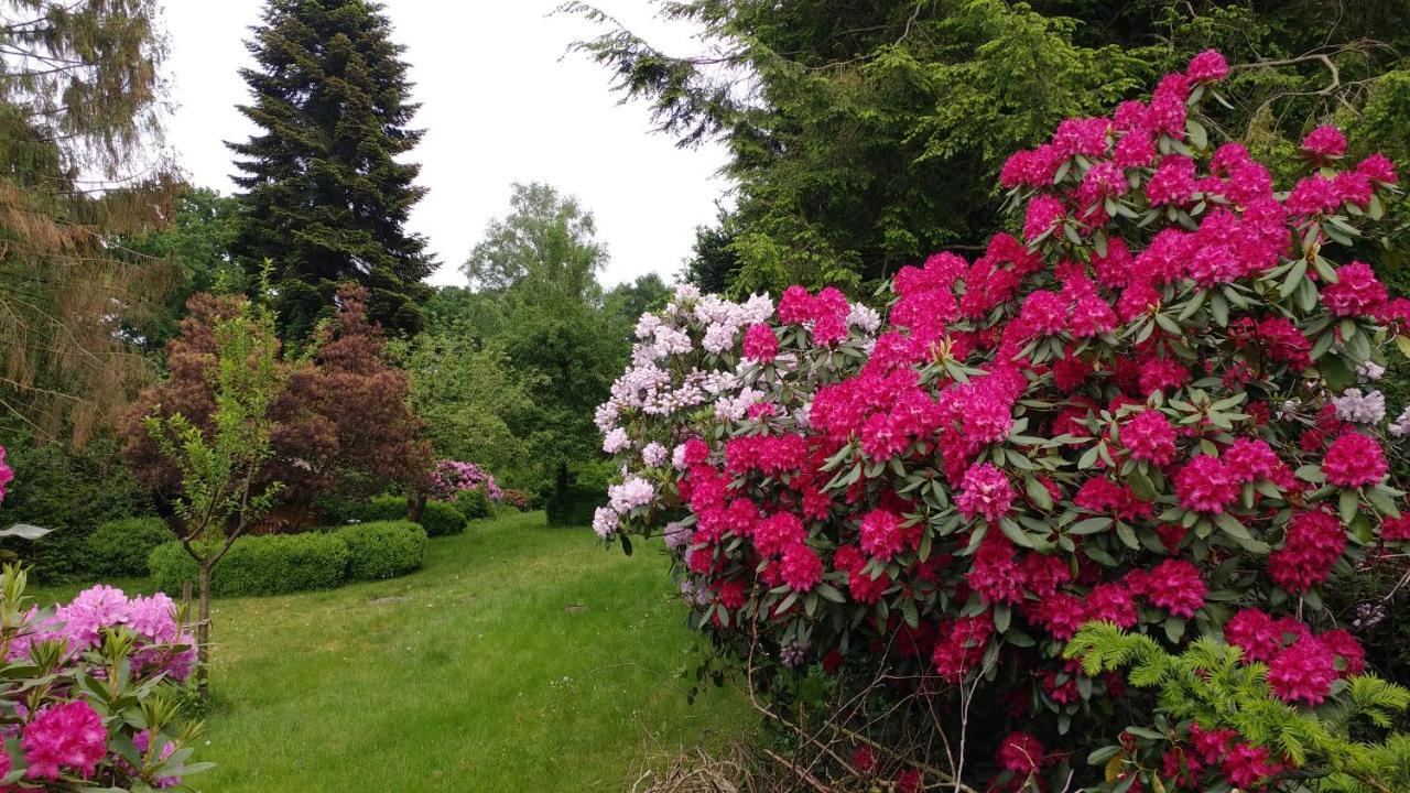 Ferienwohnung Gartenblick Worpswede Esterno foto